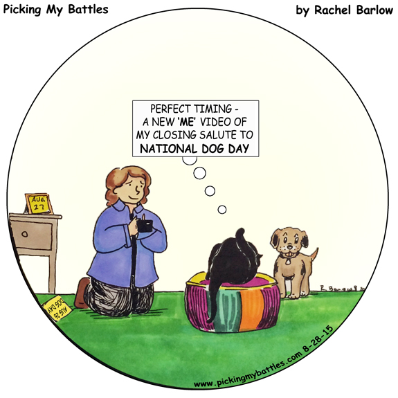 Picking-My-Battles--NATional-Dog-Day-Master-Round2