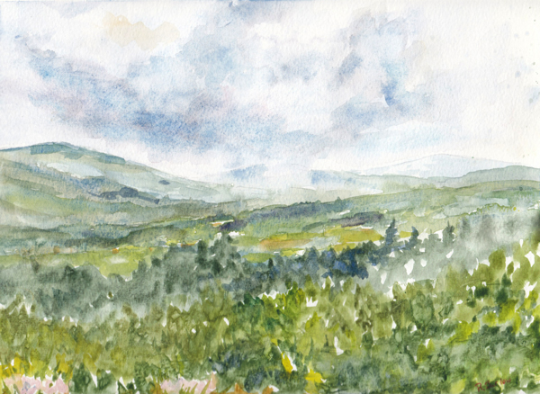 For Mac on the Occasion of his 17th Birthdayweb