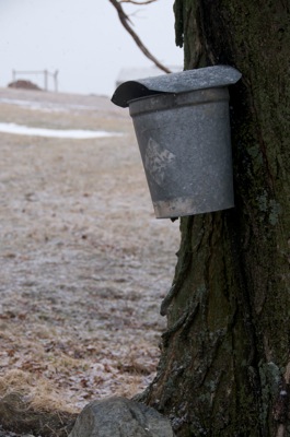 Winter2008Master 161