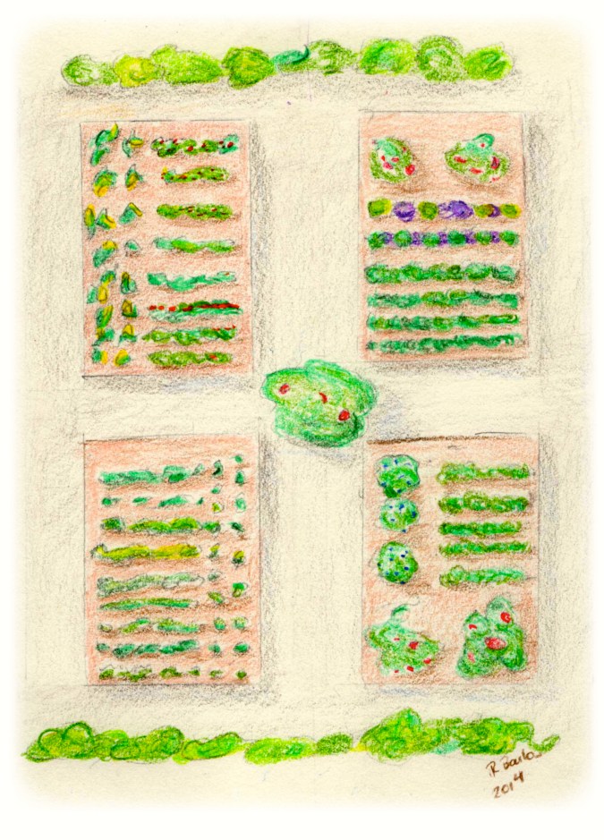 garden plan 2014