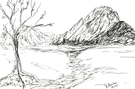 sketchylife115-trees