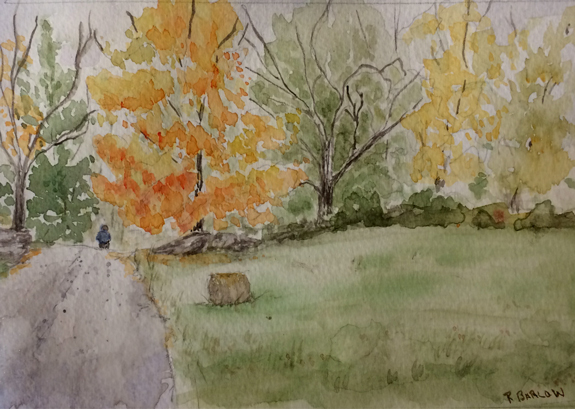 A Hay Oddity Watercolor, 5x7