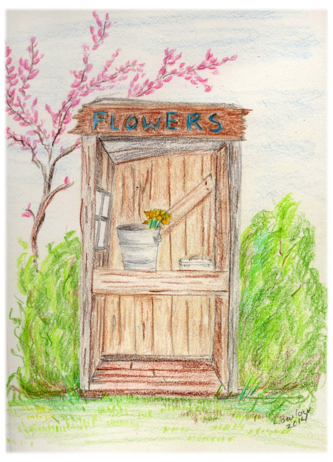 where all the flowers went