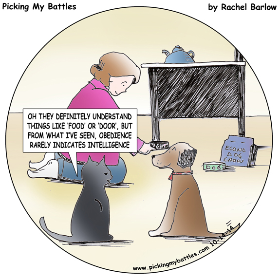 Picking-My-Battles--INTELLIGENT-LIFE-WEB-Round