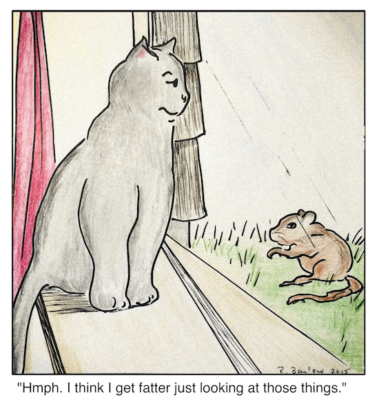 Cartoon - Low Chipmunk Diet copy