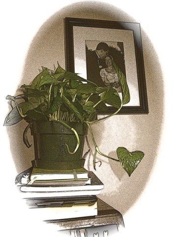 Blog  Plants and Cigars