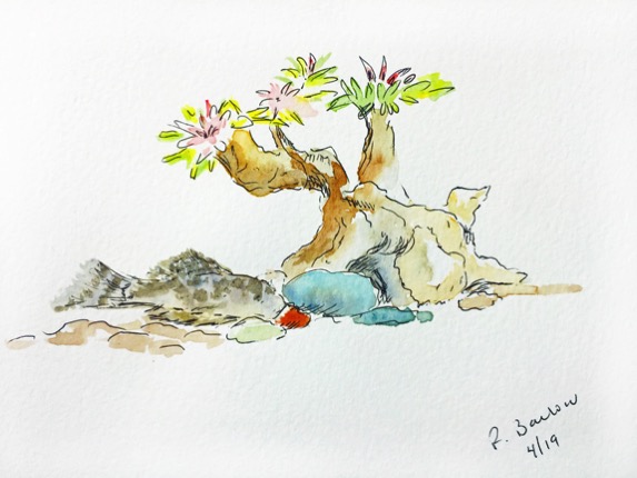 4-19Under-the-Flower-Tree-web.jpg 4 19Under the Flower Tree web